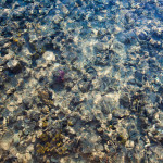 вода Красного моря