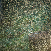 окружающее