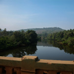 Goan river