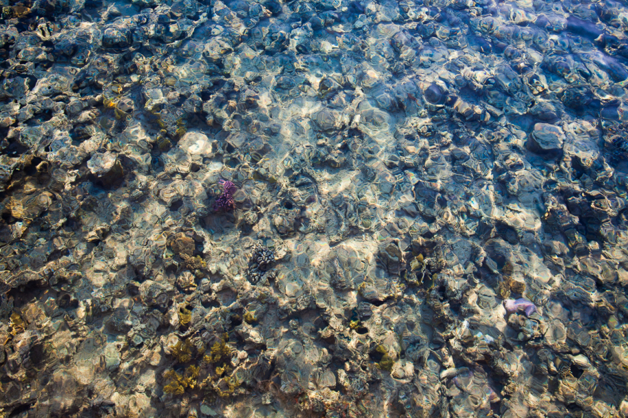 вода Красного моря: Чистая и прозрачная вода Красного моря, Египт. 